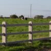 Delaney Concrete Fence - Concrete rail